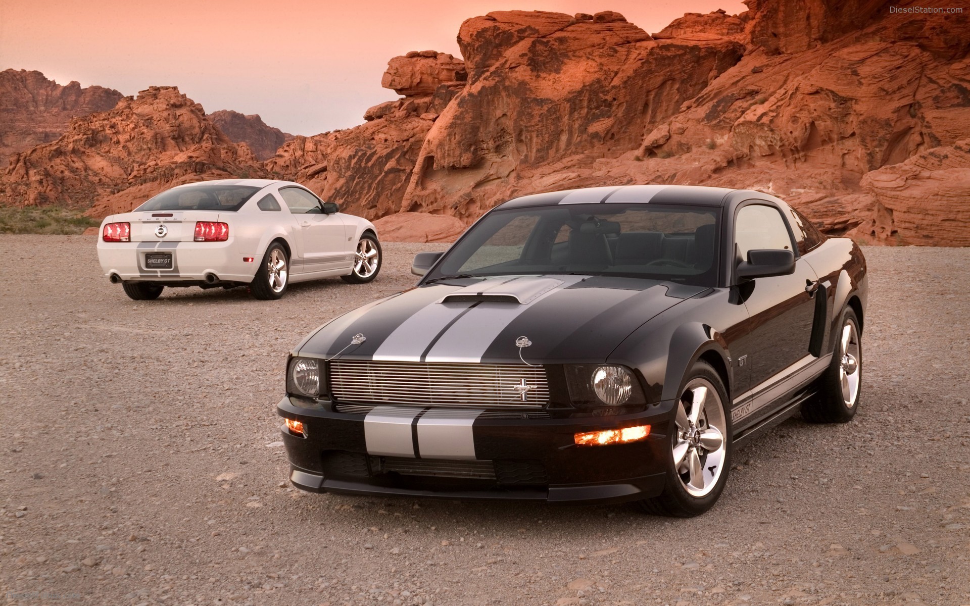 Ford Shelby GT